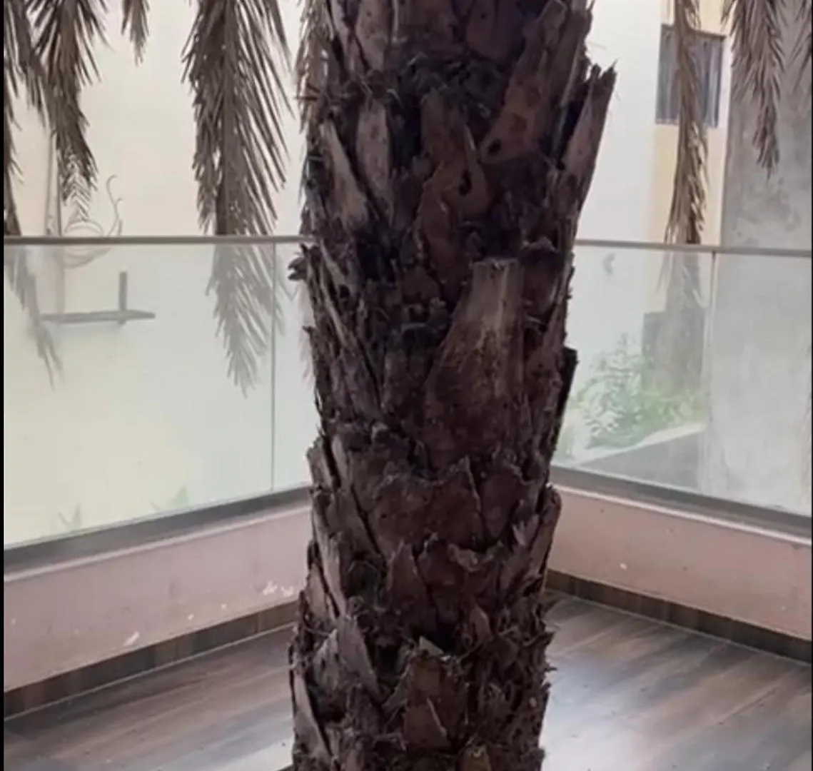 Eagle Appart Dakar Apartment